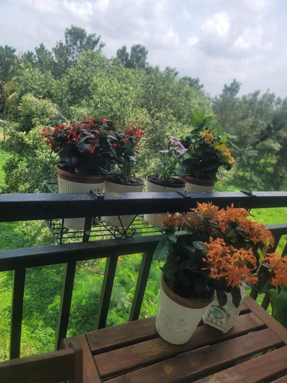 Serene Home Stay Bangalore Buitenkant foto